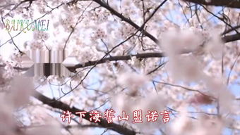 作文我是一颗希望树