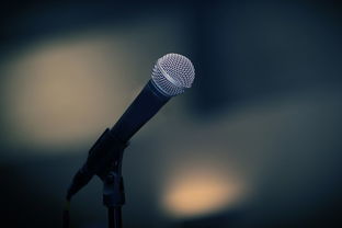 麦克风没声音怎么设置win10,麦克风没声音怎么回事