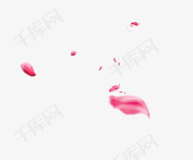 登入花瓣网说超时