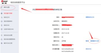 新网域名怎么解析