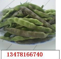 宿迁豆角网络有限公司怎么样？