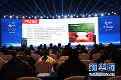 网络创业项目有哪些,关于创业的网站