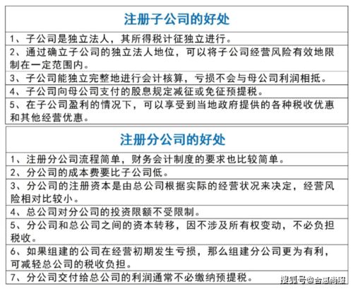 子公司和分公司的区别