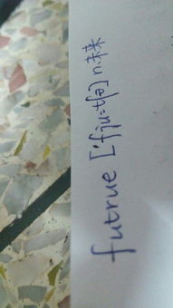 future怎么读中文谐音