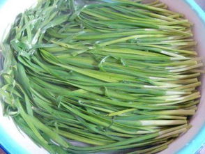 怎样做韭菜盒子好吃，怎样做韭菜盒子皮不硬