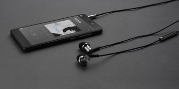 Pro和小米圈铁耳机有什么区别