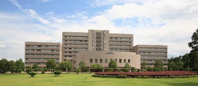 浙江师范大学自考怎么样