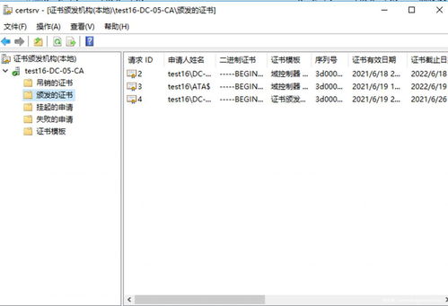什么是根证书？怎么申请？