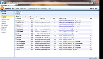 网站统计工具哪个更好
