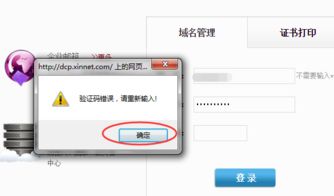 怎样配置新网域名解析