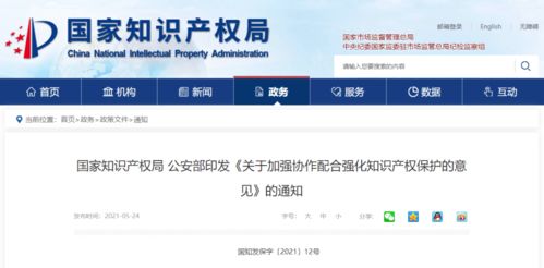 国家知识产权官网查询系统,知识产权网