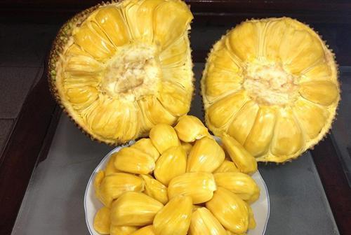 菠萝蜜核可以吃吗