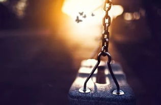 灵魂相似的人一旦相逢，灵魂相互吸引的感觉共鸣是什么意思