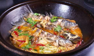 怎么炖鱼好吃呢?