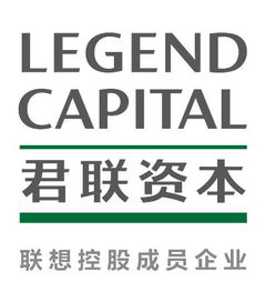 联想控股旗下上市公司名单