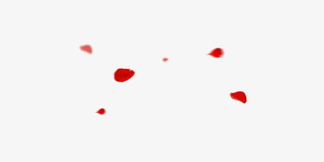 花瓣网做什么的