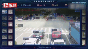 中国天网系统,中国天网行动