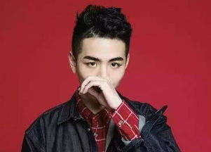 冰封夕阳属于什么样的上单？