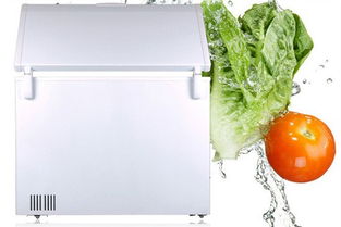 冰柜买哪个牌子好？