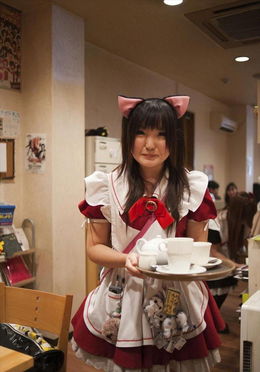 女仆餐厅或者女仆咖啡吧怎么开？我想开一家女仆咖