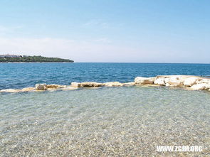 做梦梦见划船在水上