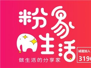 什么是粉象生活?