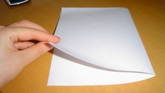 这种广告纸的名称叫什么？