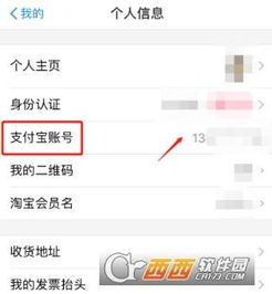 怎么查看我的支付宝账号