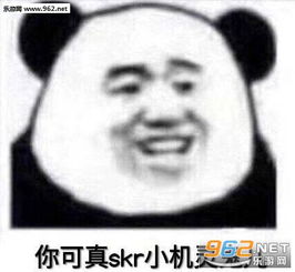 skr什么意思？？？