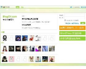 中国最著名的博客网站是？