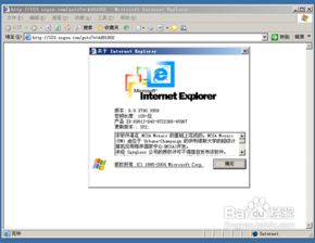 怎么看IE版本,win10怎么看ie版本