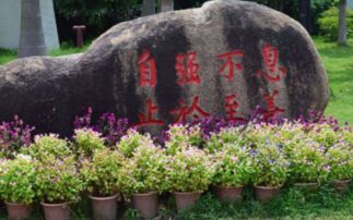 止于至善的意思