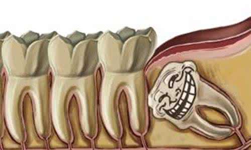 北京智齿数汇科技有限公司怎么样？