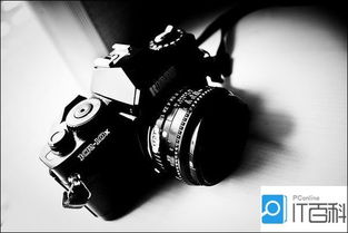 单反相机什么牌子好新手入门,相机单反买什么牌子好