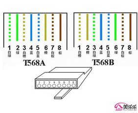 四线网线水晶头接法图解