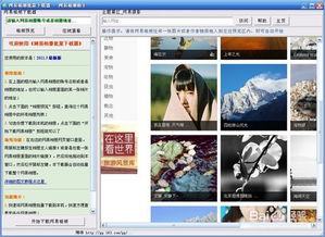 手机如何登陆163相册