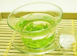 苦丁茶的作用与功效不适用人群