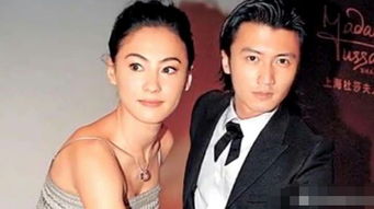 谢霆锋张柏芝离婚原因