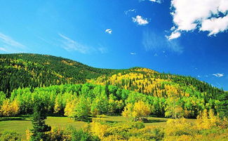 形容景色极美的成语