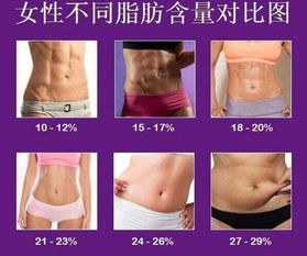 体脂率是什么，怎样计算出来。