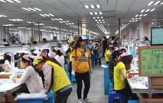 什么样的工厂叫血汗工厂