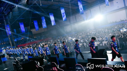 cfwcg中国得到几届冠军