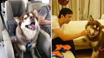 王可可是个碧池的网友评论