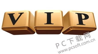 vip是什么意思的缩写中文