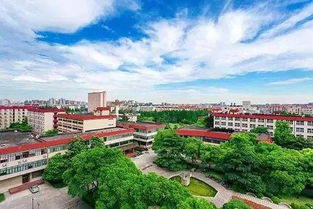 上海财经大学在哪