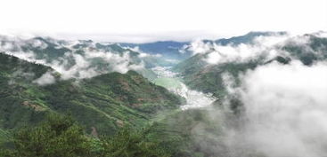 网站建设一般建个网站的费用是多少？