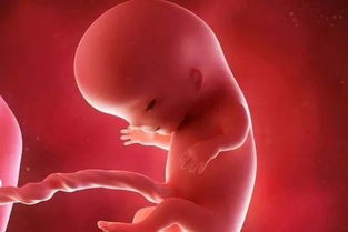 俩月流产的胎儿是什么样子图片，怎么自然流产