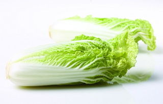 娃娃菜能生吃吗