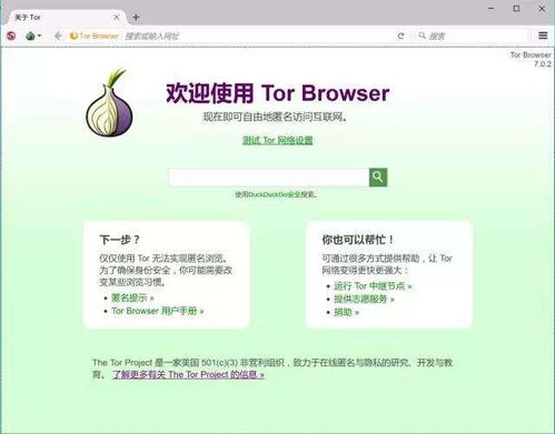 影子网络进入方法，越详细越好