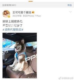 王可可是个碧池的开通微博